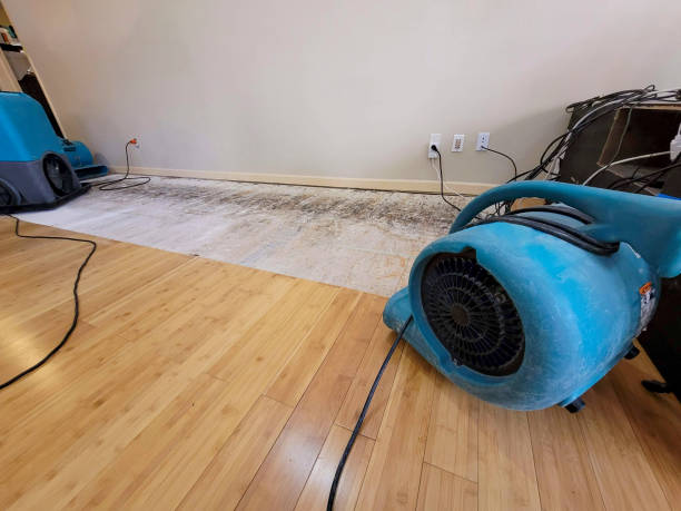 Professional Structural Drying technician working in Mitchellville, IA